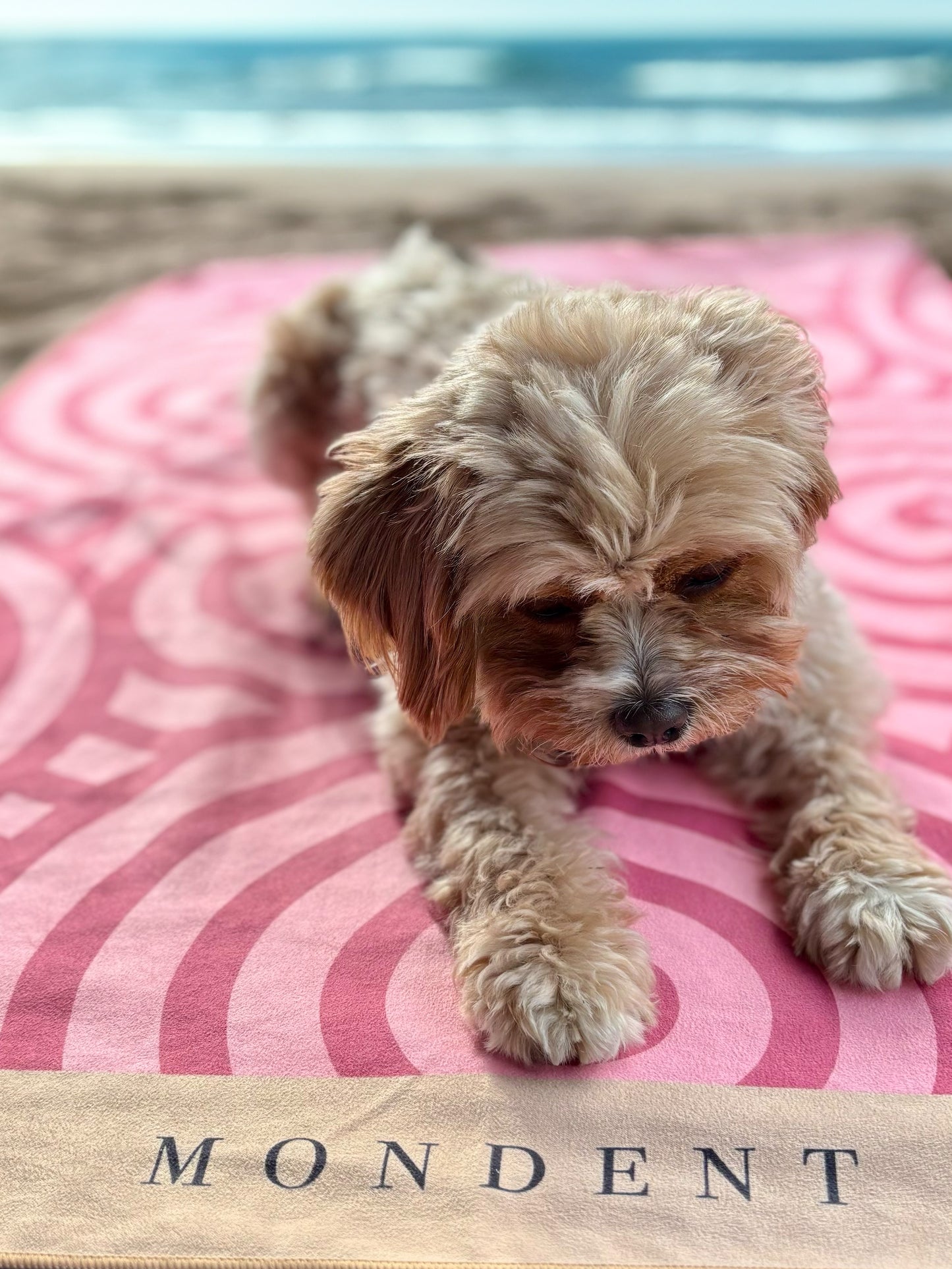 Håndkle Pink Circle